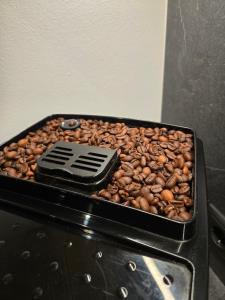 Blosegghof Bergchalets Talblick