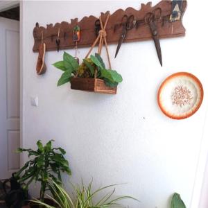 O Quintal - Barrancos