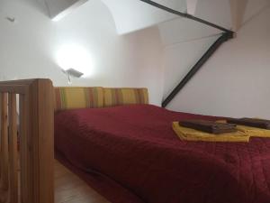 O Quintal - Barrancos