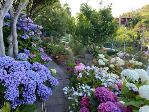 Appartamenti da Giorgio e Lina