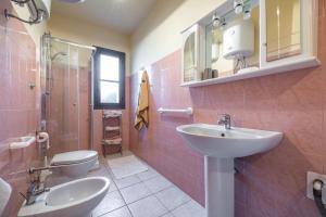 Via Delle Mimose 14 img14
