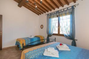 Il Pino - appartamento Olivo