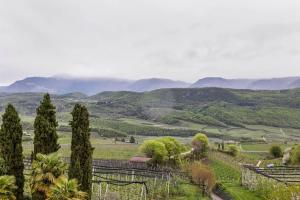 Weingut Lieselehof Apt Panorama