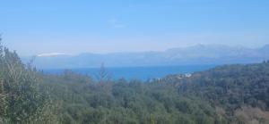 Grenta Country House