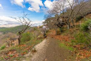 Cabañas Entre Castaños