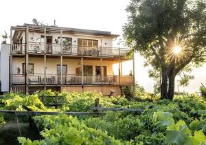 Bio Weingut Sanin