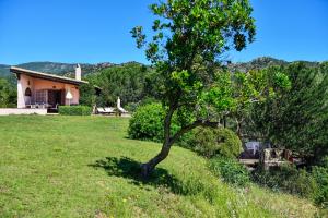 Villa Fiori 3 img19