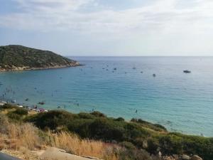 Ibiscus Rosa 2 img26