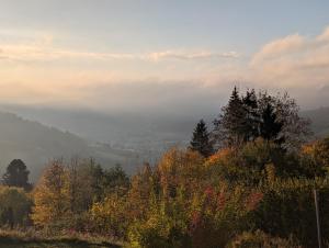 Le Panorama