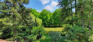 Le relais du silence