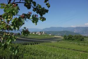 Kristallhof Fewo Golden