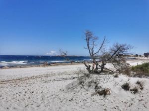 Comino due passi dalla spiaggia