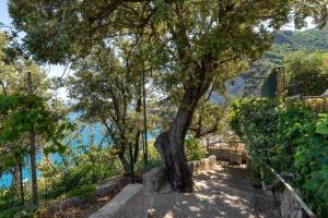 Blueandgreen Apartment Amalfi Coast