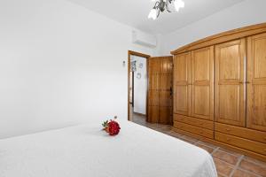 El Mirador del Abuelo