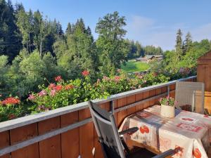 Boznermüllerhof - Geranie