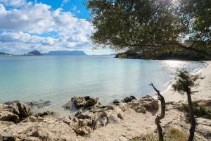 Trilo Orizzonti 31 img23