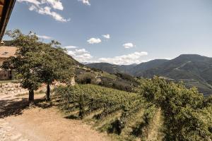 Spornberg Mountain Living Nordberg