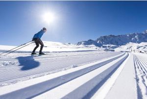 Mysciliar Apartment Tree ii