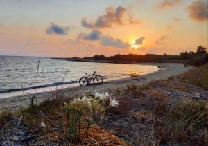 Leonardò, non solo mare