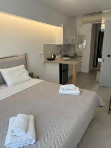 Nice & cosy central studios