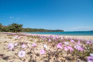 Appartamento Palau Corallo img11