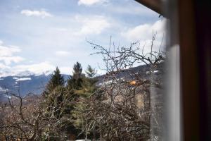 Mini House Valle dAosta