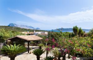 Villa Vanessa img27
