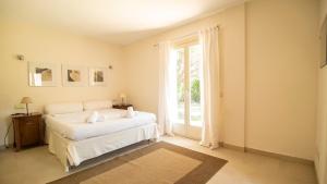 Enjoy Villa Tortuga With Pool