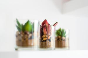 Loft Malagasol