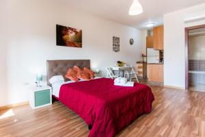 Loft Malagasol