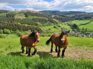 Ferienhof Pohl-Optimal für Familien