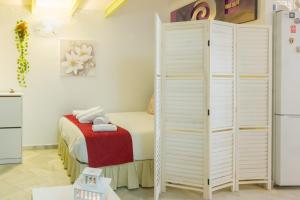 Duplex-Penthouse Terrace Citycenter