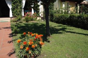 Bungalow Jasmin - 779218 img19
