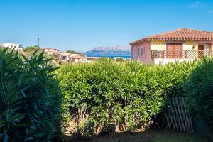 Belvedere 18 - 3 shared pool img16