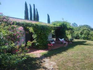 Your dream Tuscan vacation home