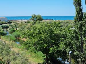 Cap dAgde - Primavera - 2