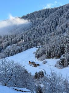 Lòni Lodge Vermiglio