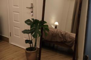 Kén Stay - Sun drenched Living & Local Foodie Hub