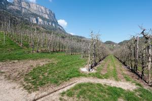 Regalterhof Eppan