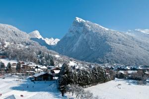 LOurson 22 - 4-6 pers - Morillon