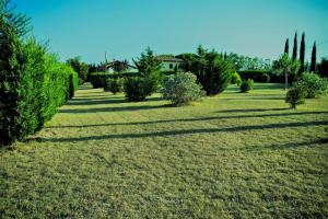 Podere Simonetta - A7