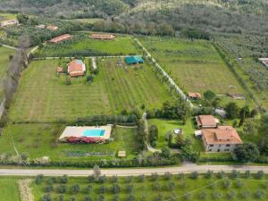 il Nazareno - Il Gheppio