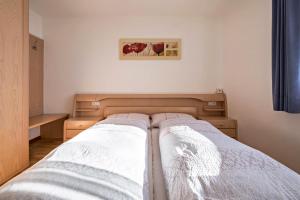Apartment Dolomitenblick