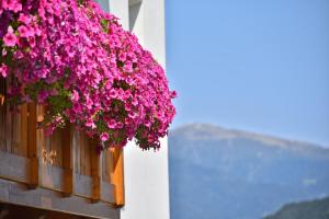 Apartment Dolomitenblick