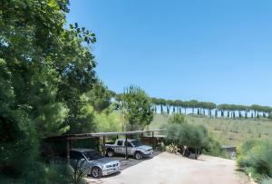 Sweet Tuscany