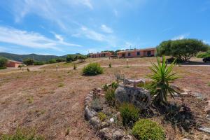 Casa Ginepro piscina e vista mare img21