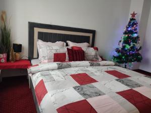 Cami comfort place