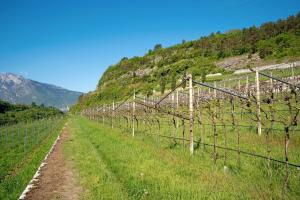 Maso Cantanghel wine retreat