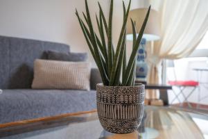 Apartamento Escadinhas