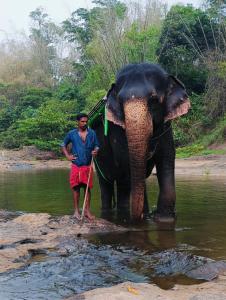 Alhind Residency , Valara, Munnar